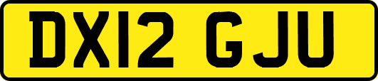 DX12GJU