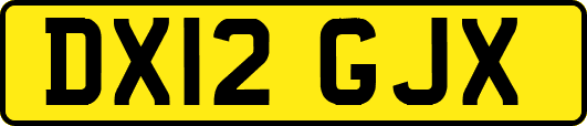 DX12GJX