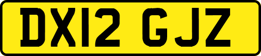 DX12GJZ