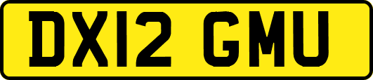 DX12GMU