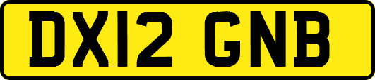 DX12GNB