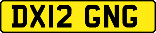 DX12GNG