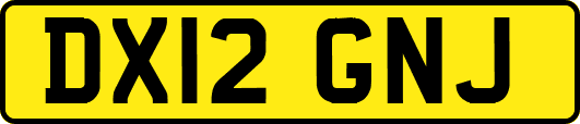 DX12GNJ