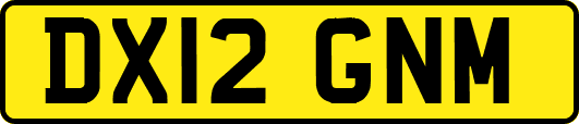 DX12GNM
