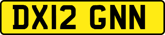 DX12GNN