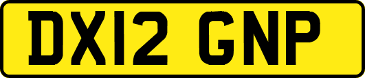 DX12GNP
