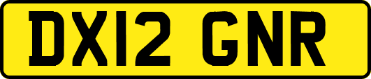 DX12GNR