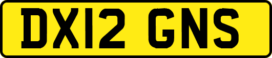 DX12GNS