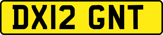 DX12GNT