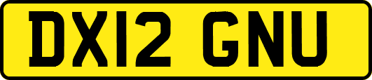 DX12GNU