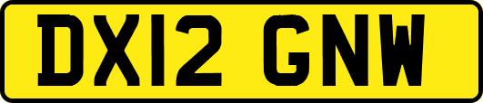 DX12GNW