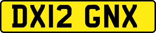 DX12GNX