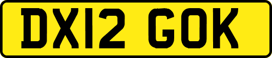 DX12GOK