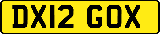 DX12GOX