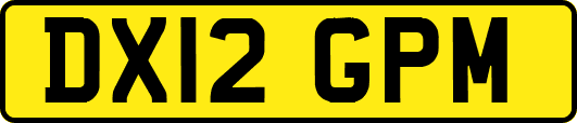 DX12GPM