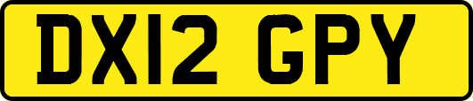 DX12GPY