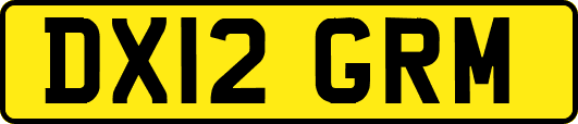 DX12GRM