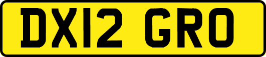 DX12GRO