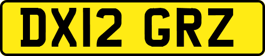 DX12GRZ