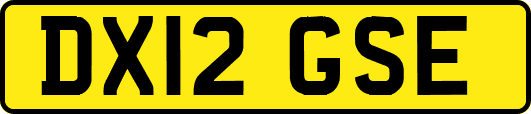 DX12GSE