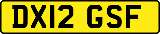 DX12GSF