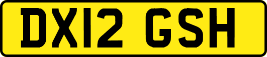 DX12GSH