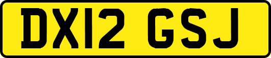 DX12GSJ