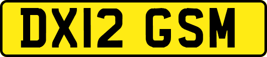 DX12GSM