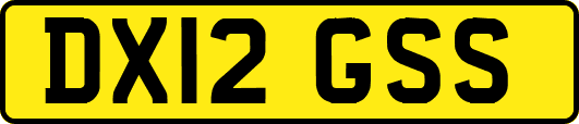 DX12GSS