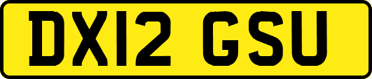 DX12GSU