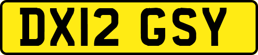 DX12GSY