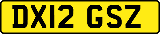 DX12GSZ