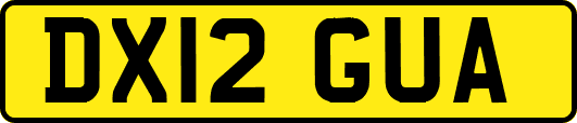 DX12GUA