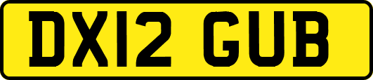 DX12GUB