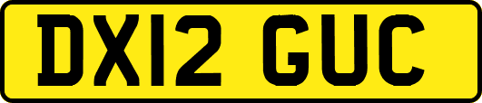 DX12GUC