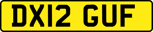 DX12GUF