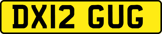 DX12GUG