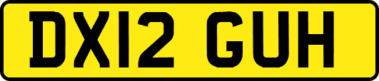 DX12GUH