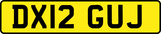 DX12GUJ
