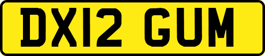 DX12GUM
