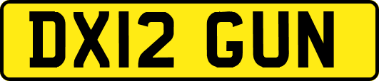 DX12GUN