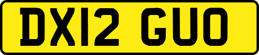 DX12GUO
