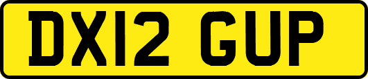DX12GUP