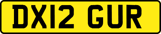 DX12GUR