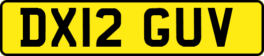 DX12GUV