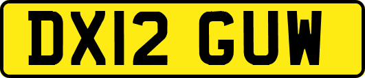 DX12GUW
