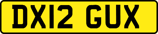 DX12GUX