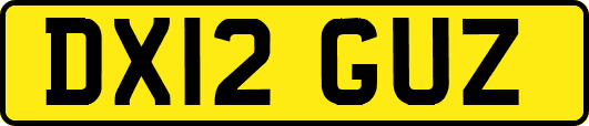 DX12GUZ