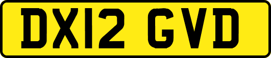 DX12GVD