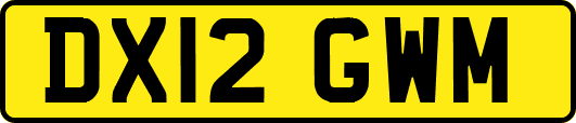 DX12GWM